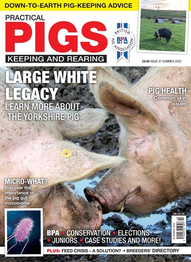 Practical Pigs issue 