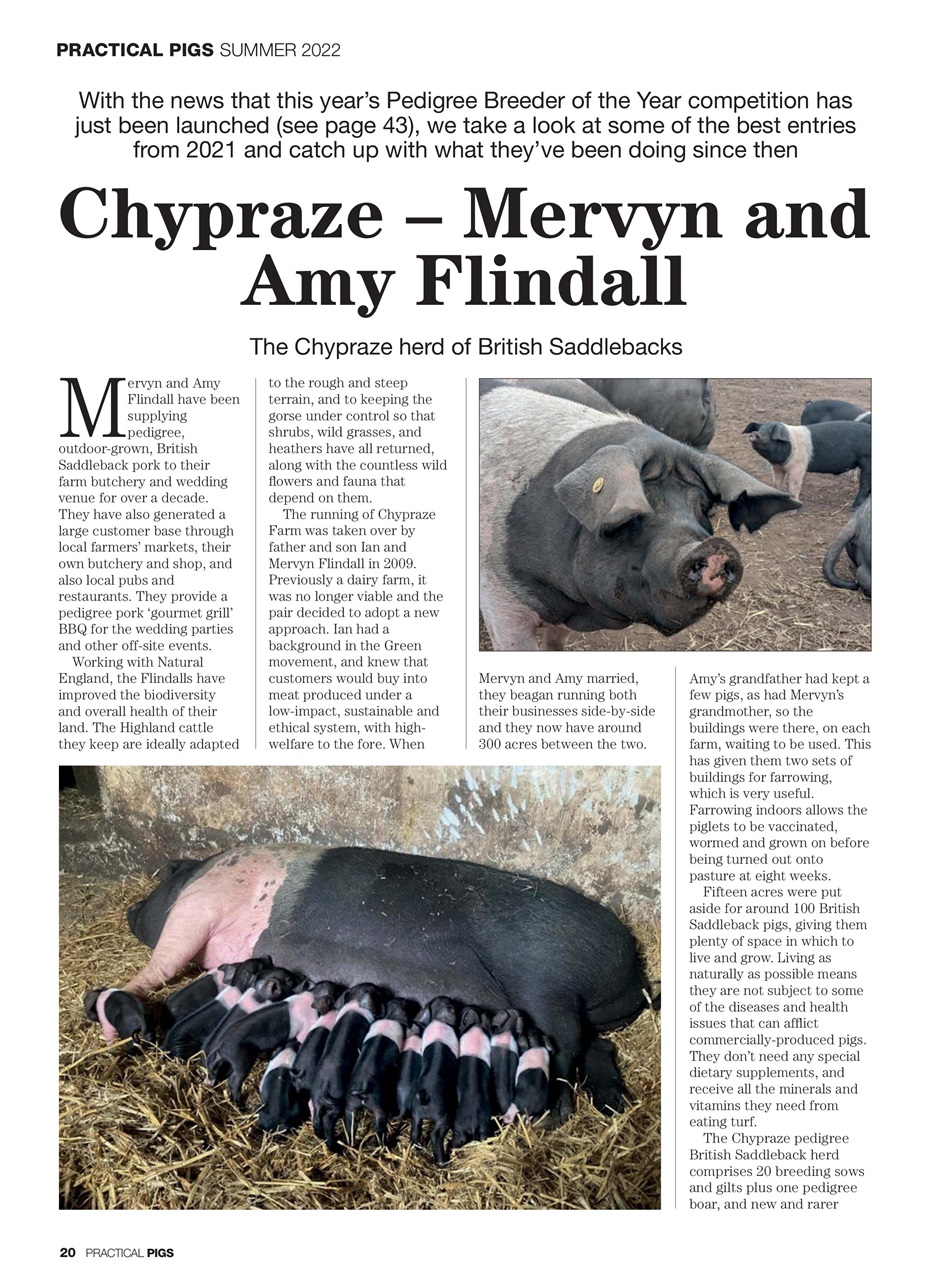 Practical Pigs Preview Pages