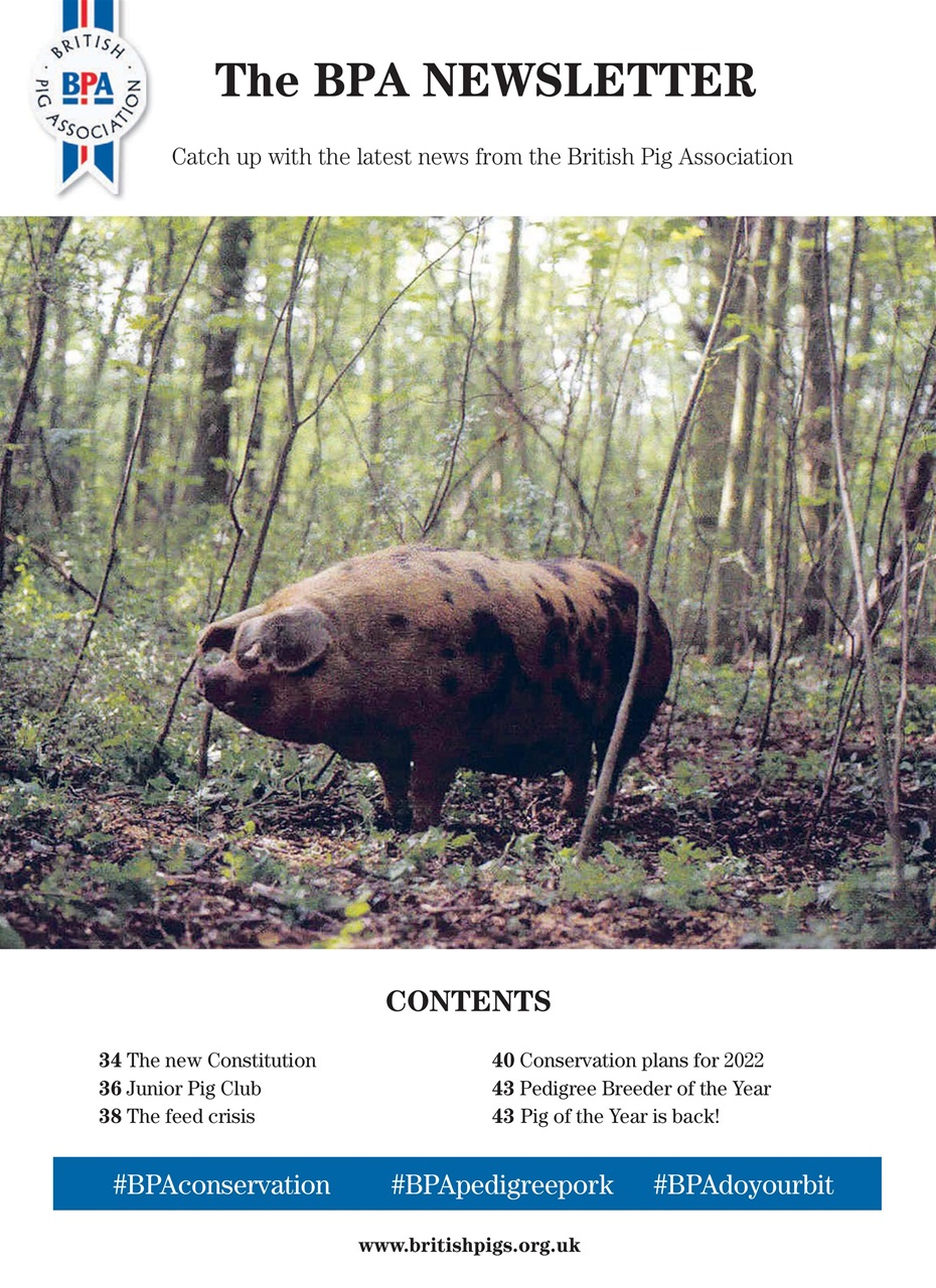 Practical Pigs Preview Pages