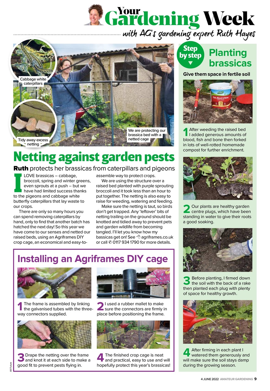 Amateur Gardening Preview Pages