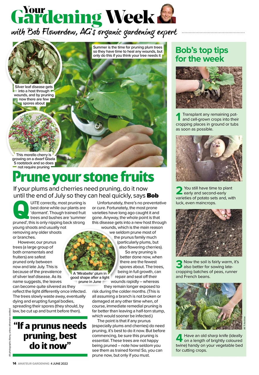 Amateur Gardening Preview Pages