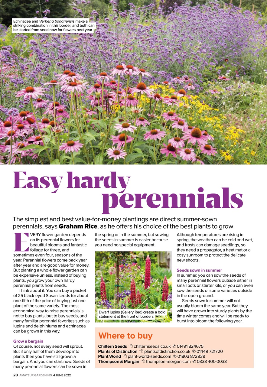 Amateur Gardening Preview Pages