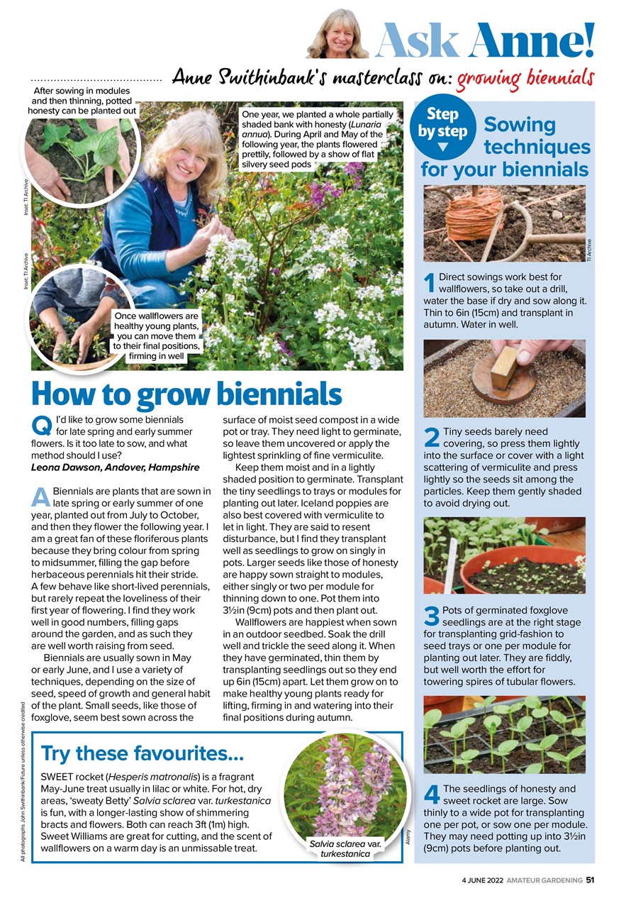Amateur Gardening Preview Pages