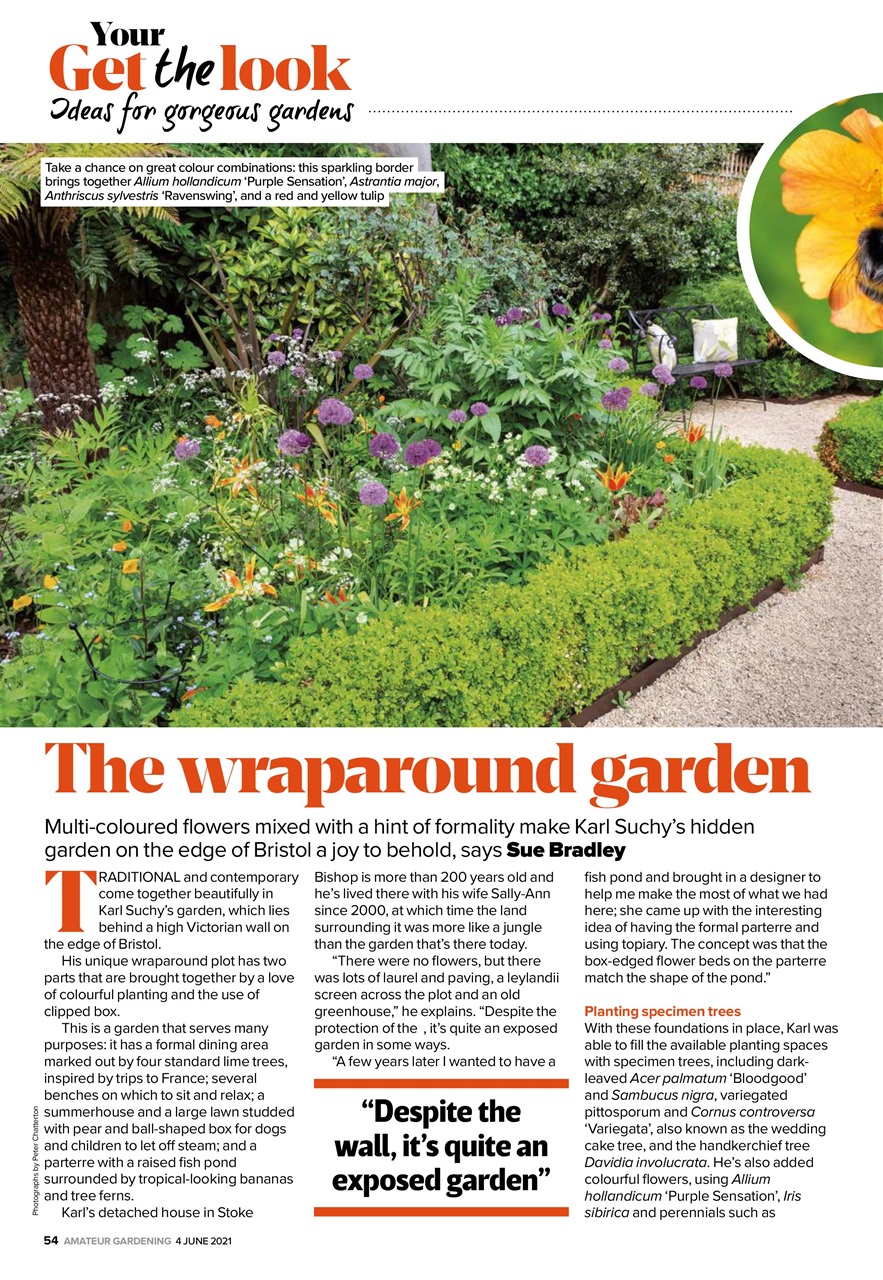 Amateur Gardening Preview Pages