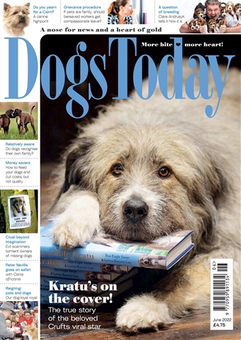 Dogs Today Magazine issue June 2022