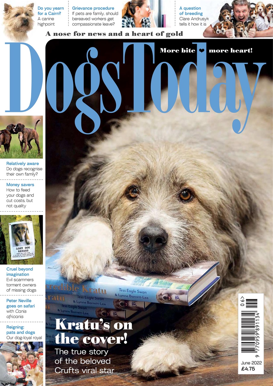 Dogs Today Magazine Preview Pages