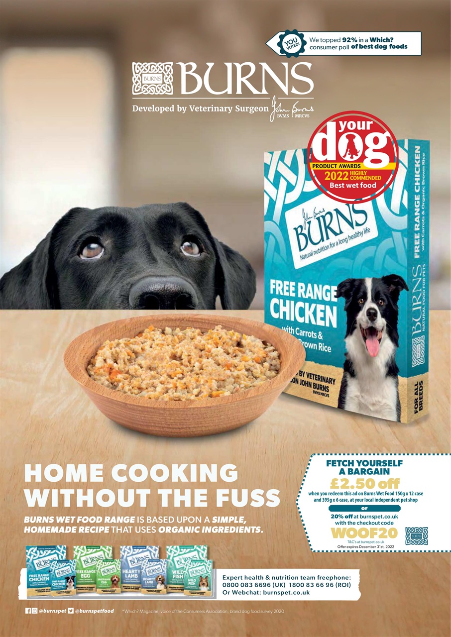 Dogs Today Magazine Preview Pages