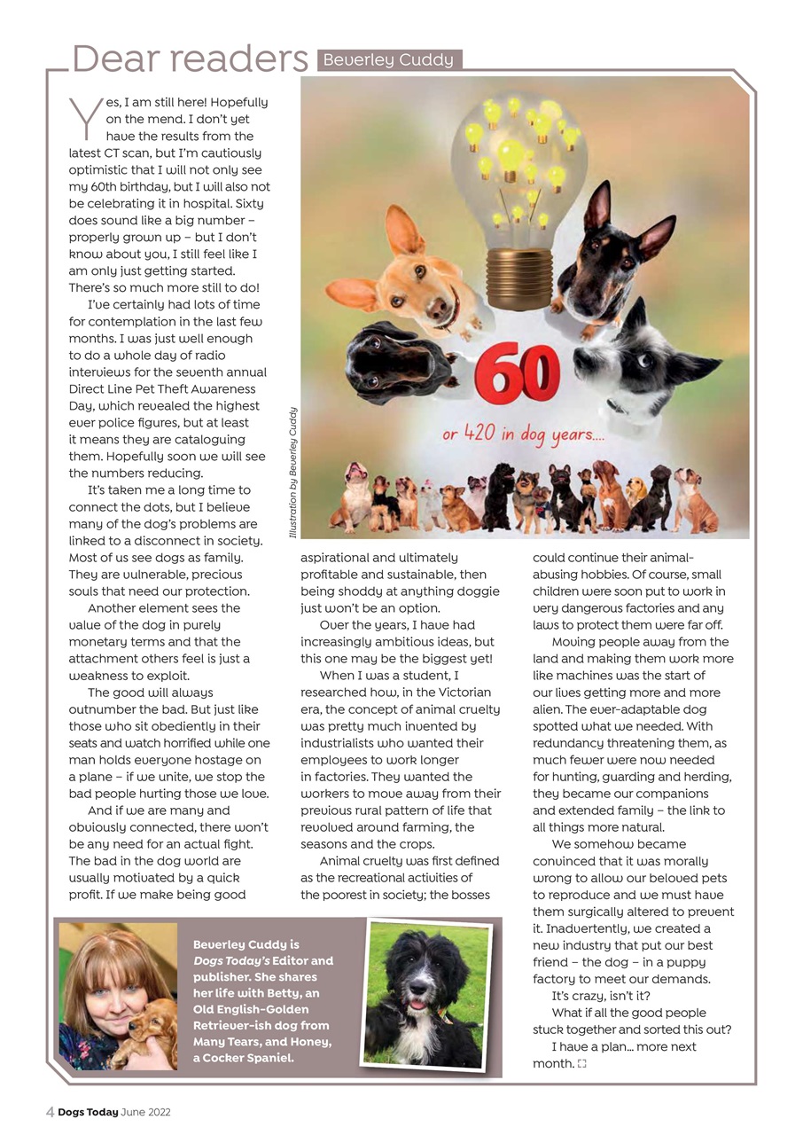 Dogs Today Magazine Preview Pages