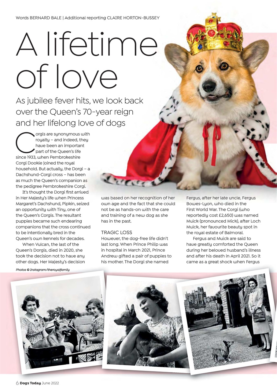 Dogs Today Magazine Preview Pages