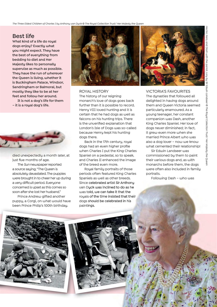 Dogs Today Magazine Preview Pages