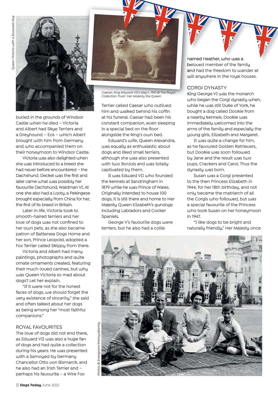 Dogs Today Magazine Preview Pages