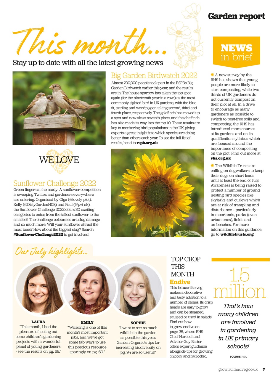 Grow Your Own Preview Pages