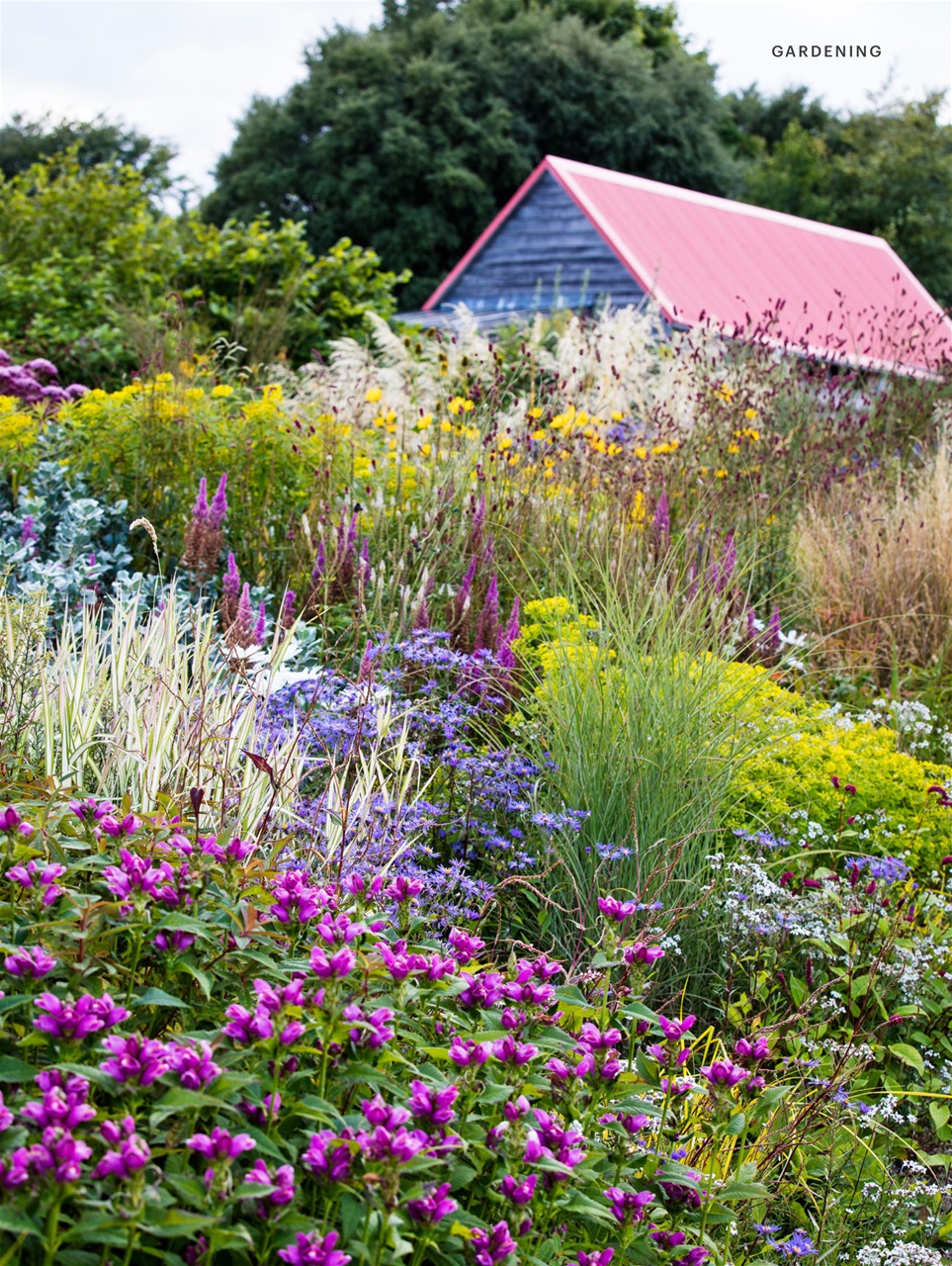 Country Living Preview Pages