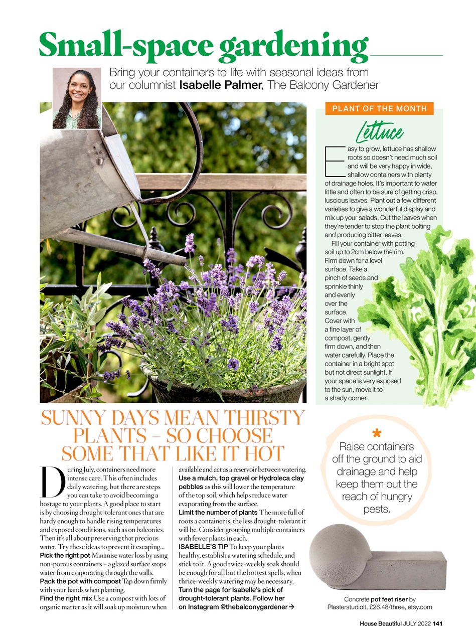 House Beautiful Preview Pages