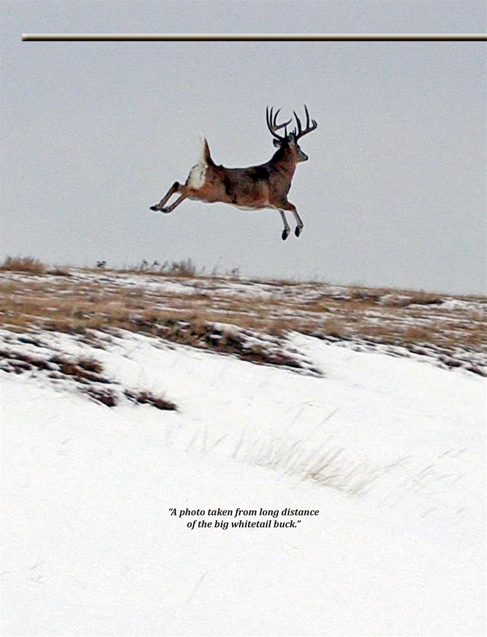 Alberta Outdoors Preview Pages