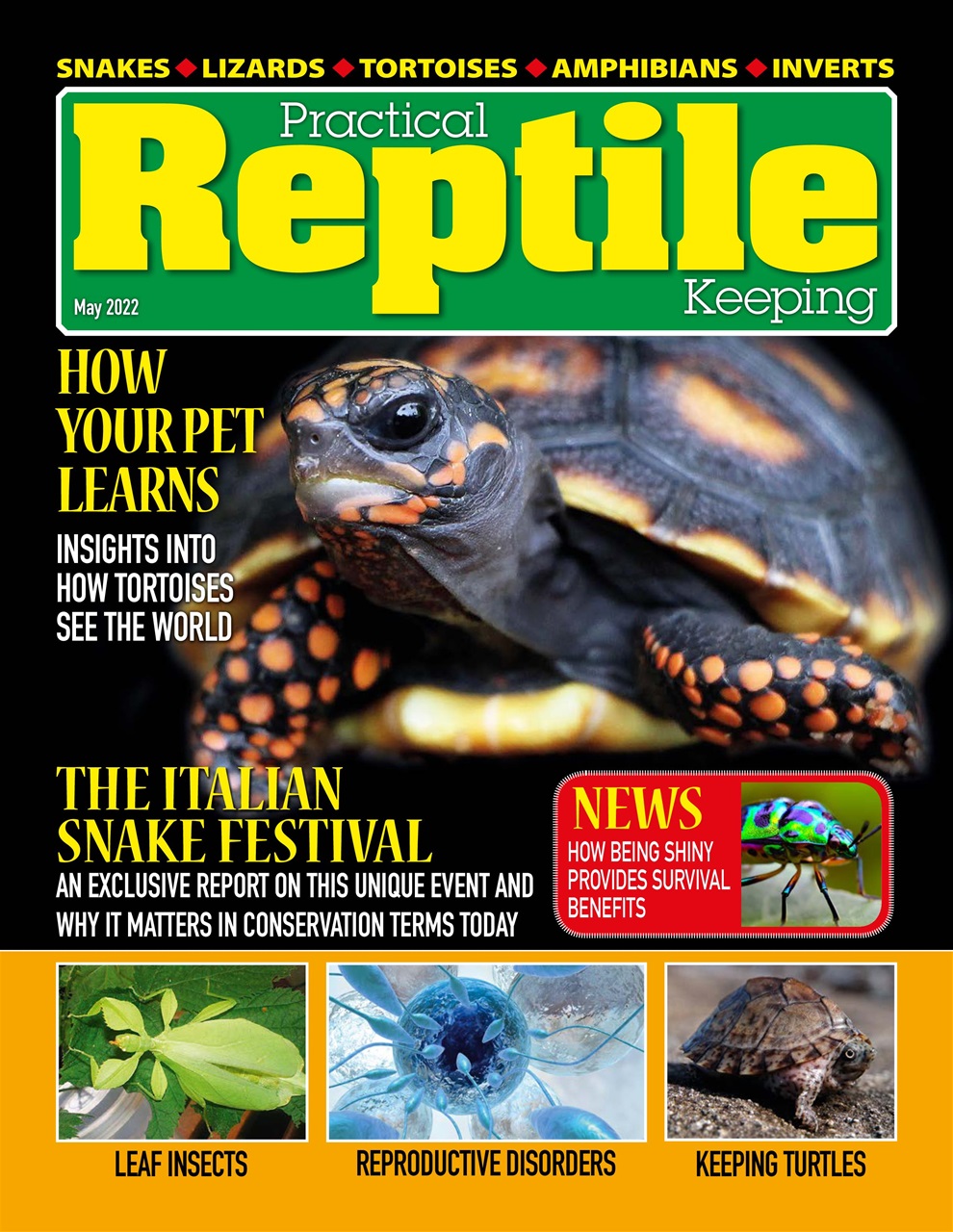 Practical Reptile Keeping Preview Pages