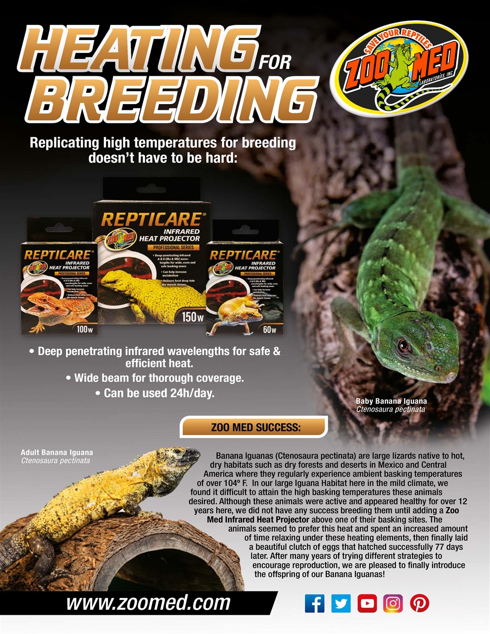 Practical Reptile Keeping Preview Pages