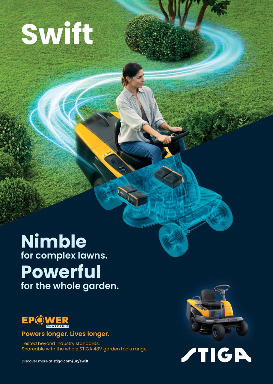 The Lady Preview Pages