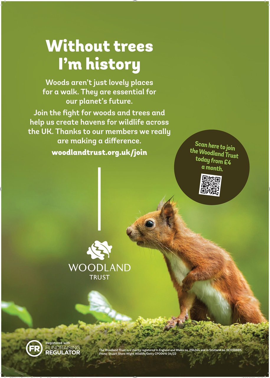 Private Eye Preview Pages