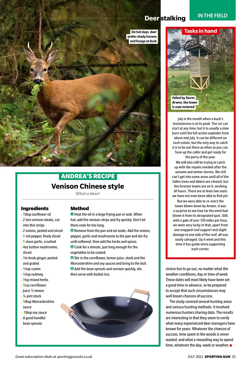 Sporting Gun Preview Pages