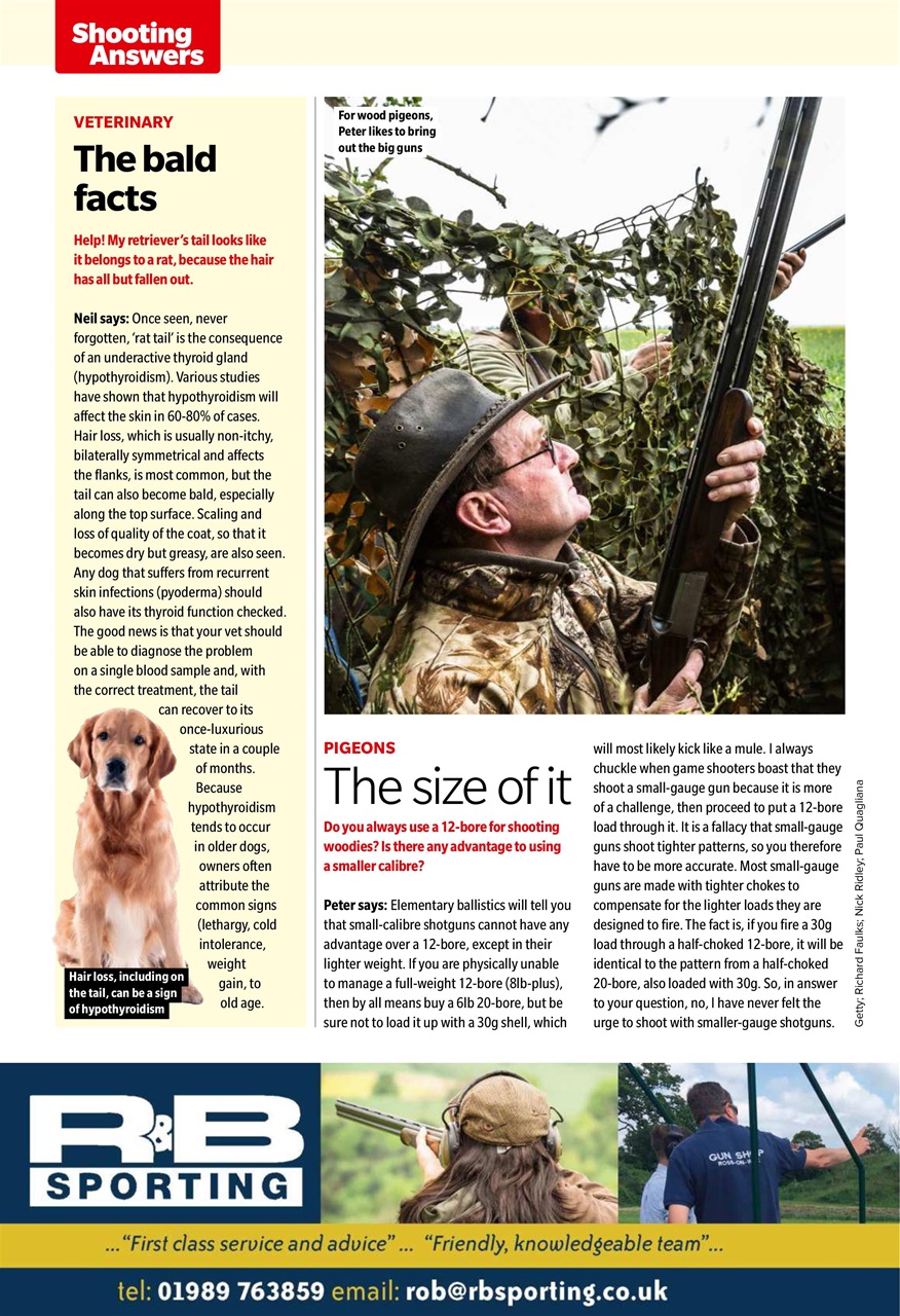 Sporting Gun Preview Pages