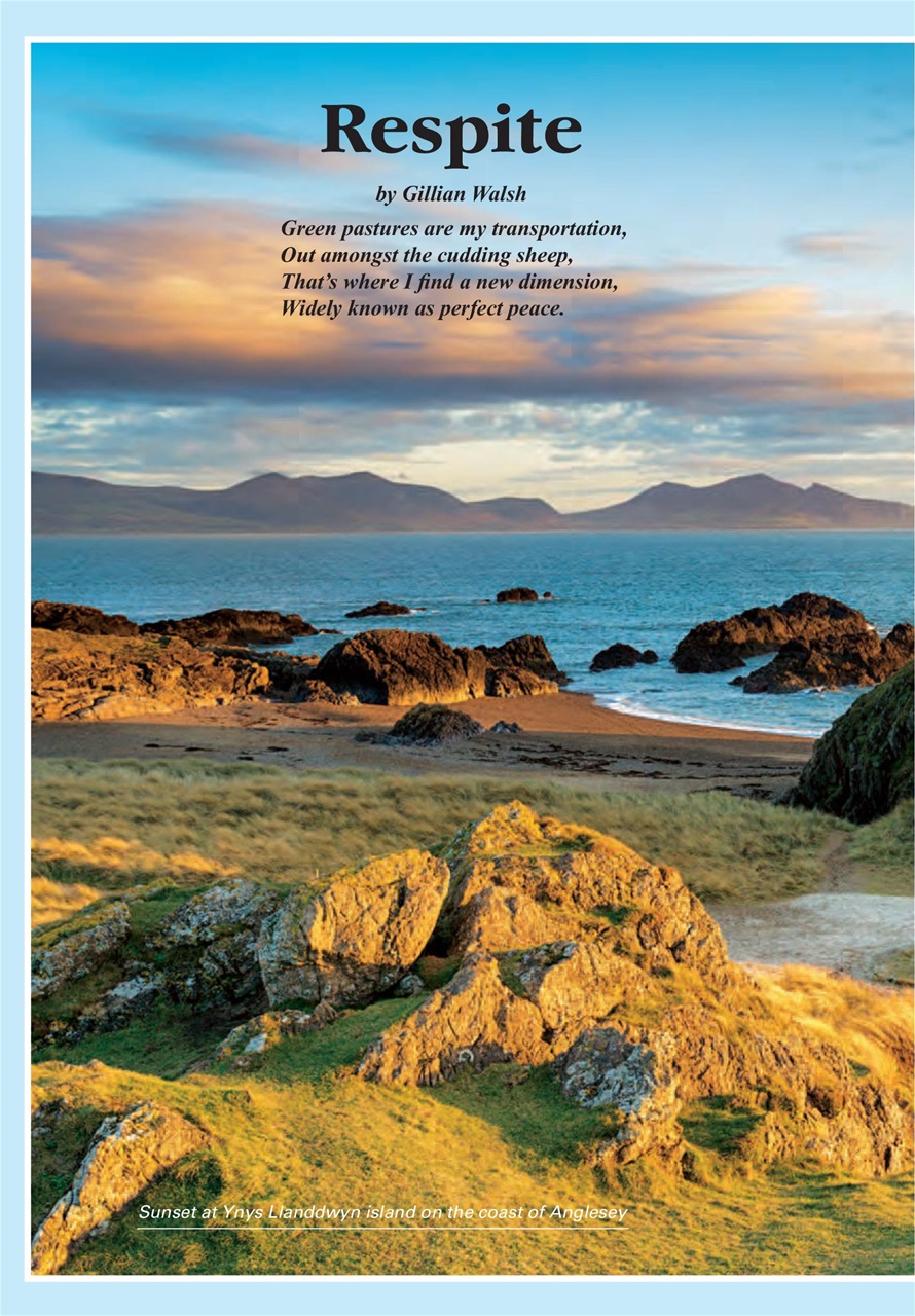 Evergreen Preview Pages