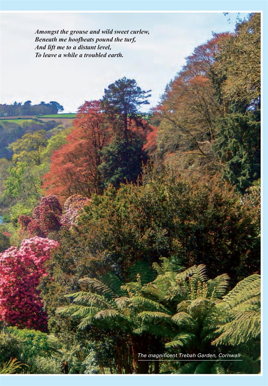 Evergreen Preview Pages