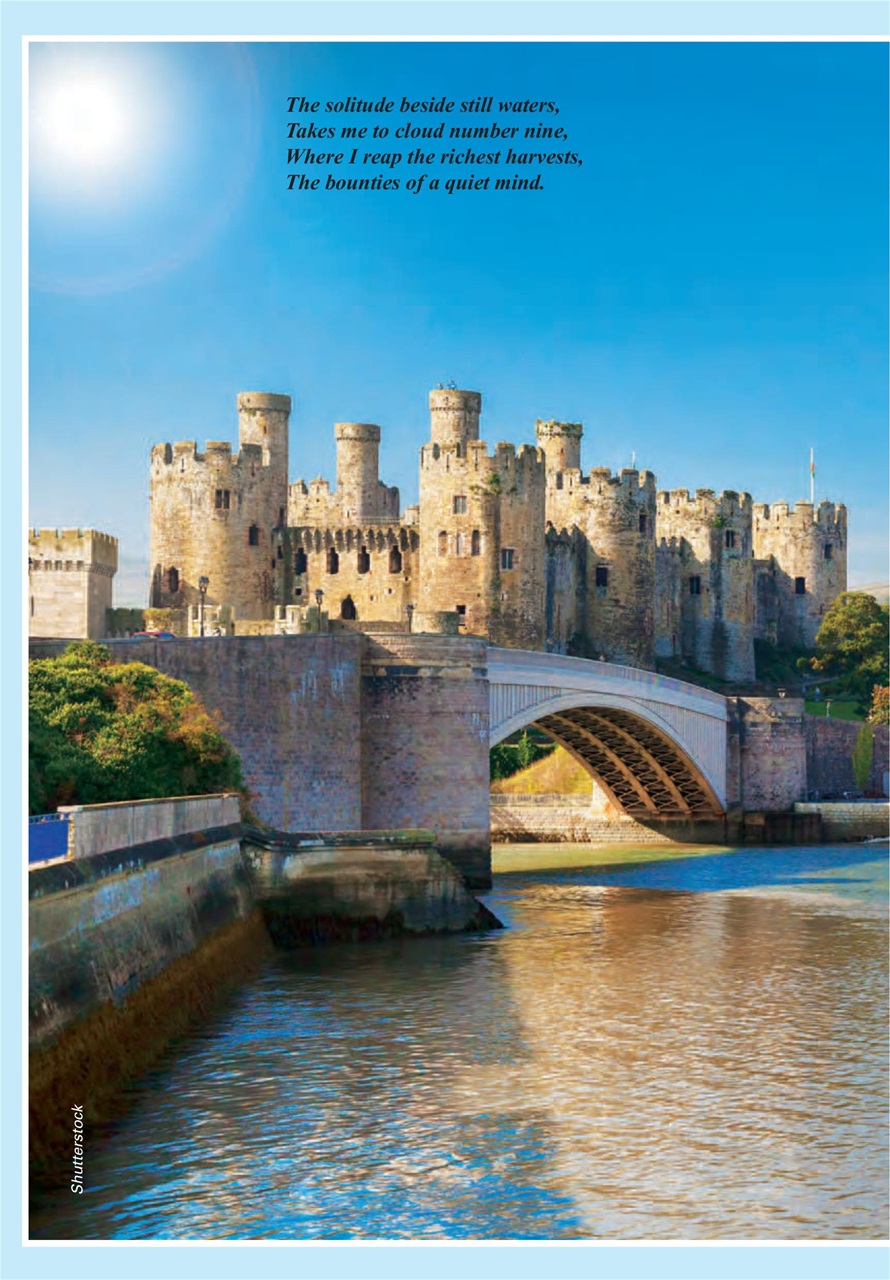 Evergreen Preview Pages