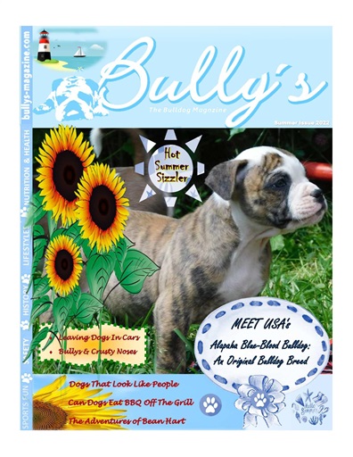 Bully’s - The Bulldog Magazine issue 