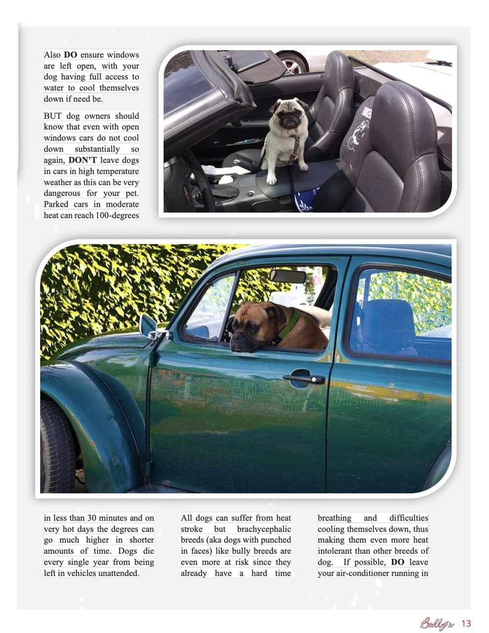Bully’s - The Bulldog Magazine Preview Pages