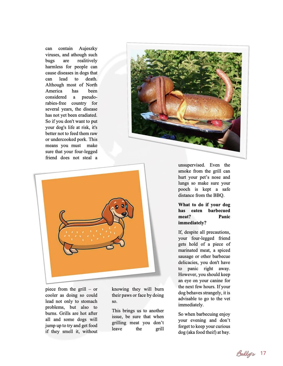 Bully’s - The Bulldog Magazine Preview Pages