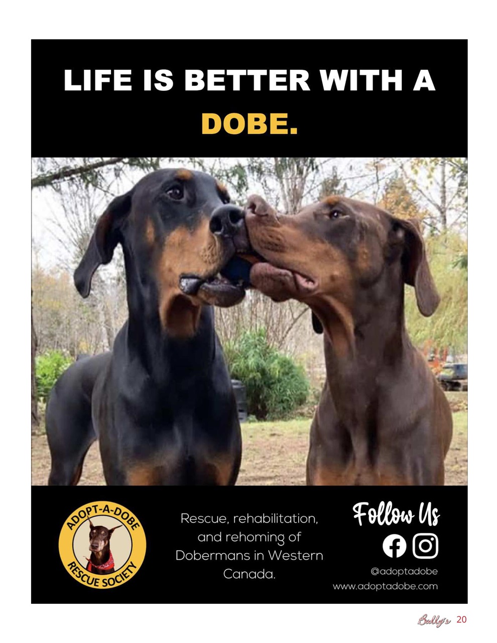 Bully’s - The Bulldog Magazine Preview Pages