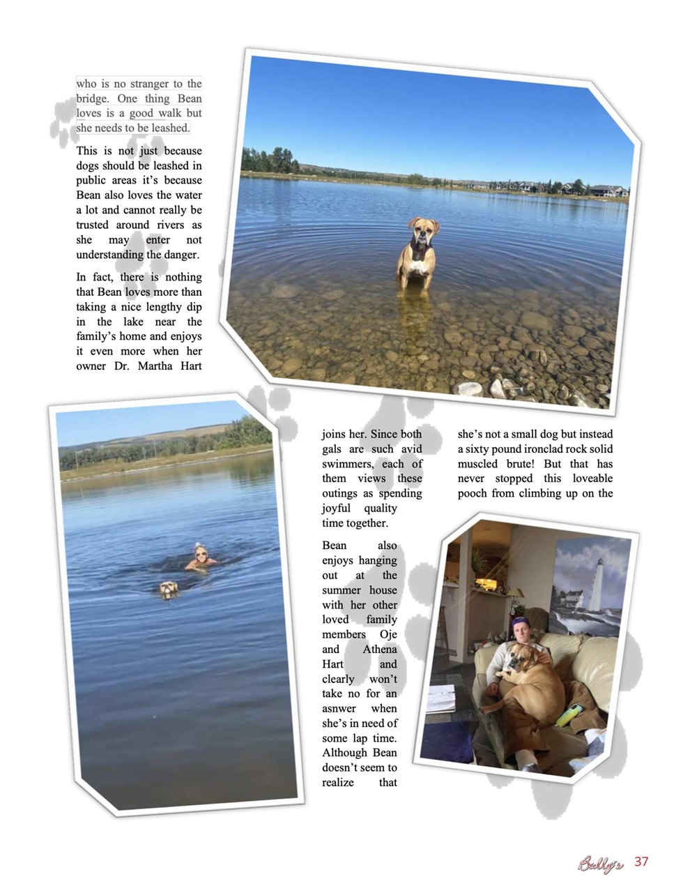 Bully’s - The Bulldog Magazine Preview Pages