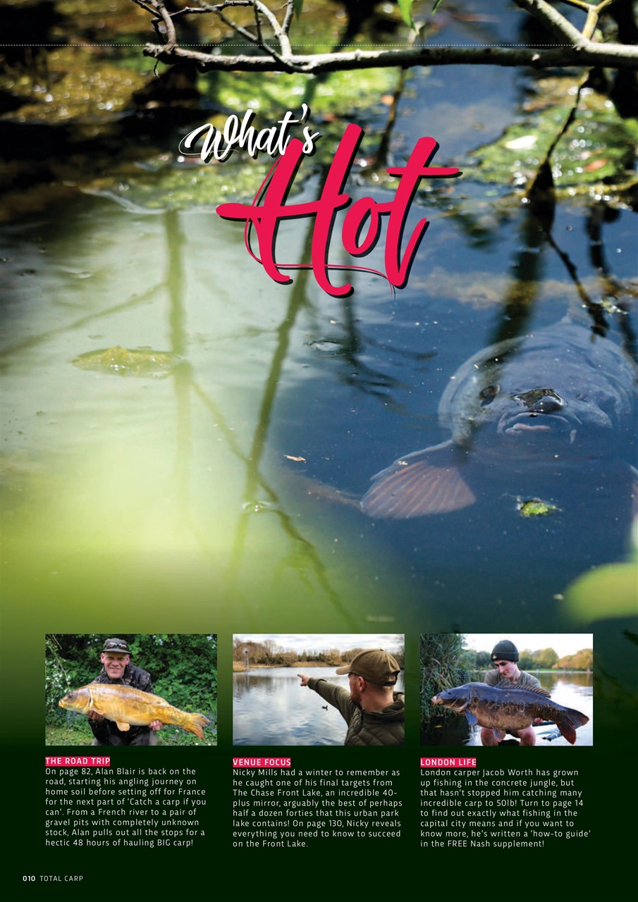 Total Carp Preview Pages