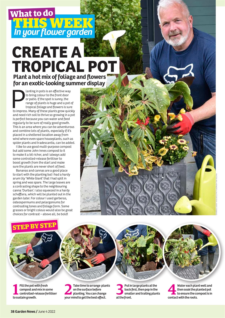 Garden News Preview Pages