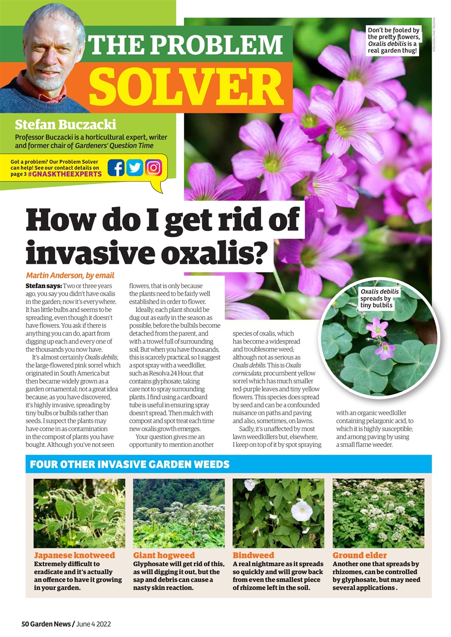 Garden News Preview Pages