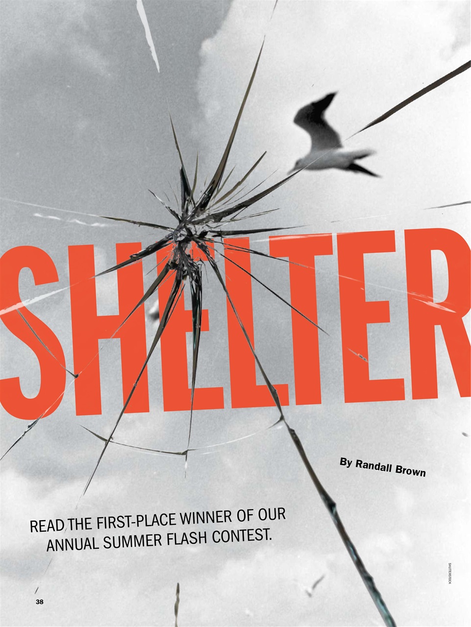 The Writer Preview Pages