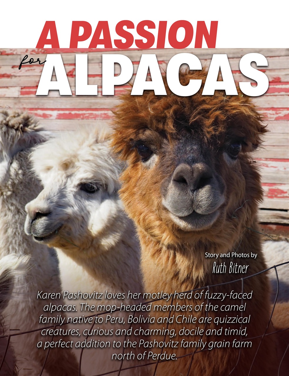 Prairies North Magazine Preview Pages