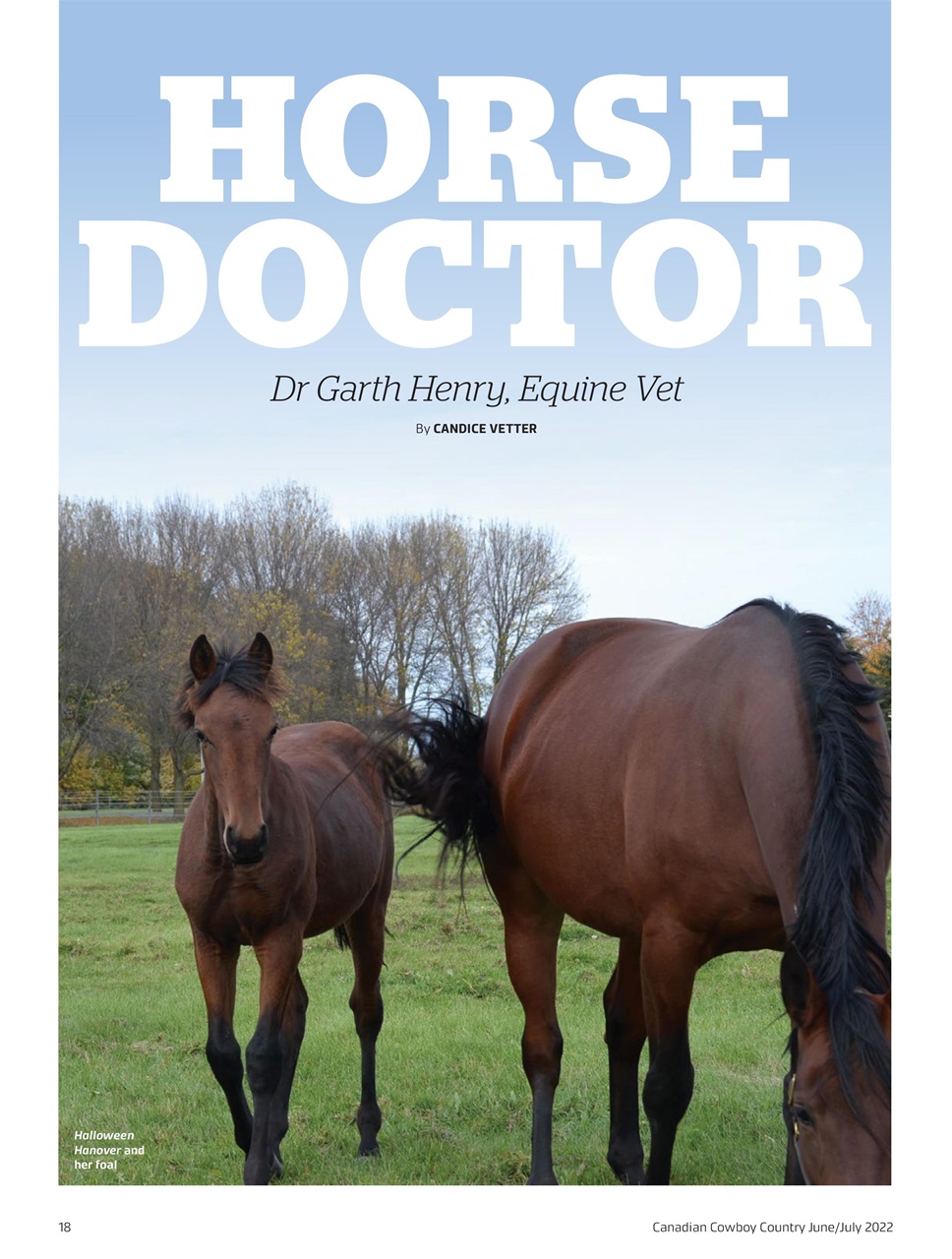 Canadian Cowboy Country Preview Pages