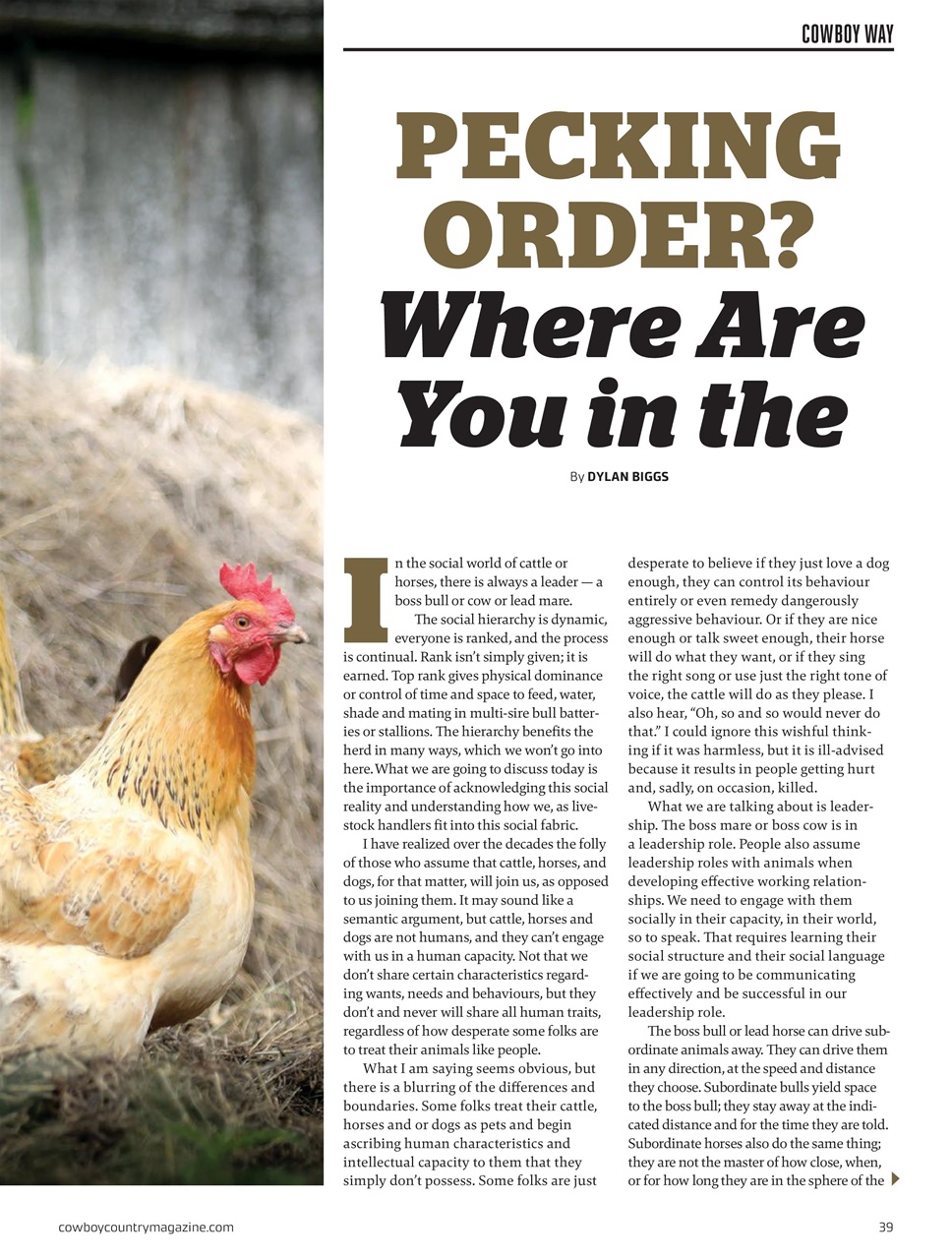 Canadian Cowboy Country Preview Pages