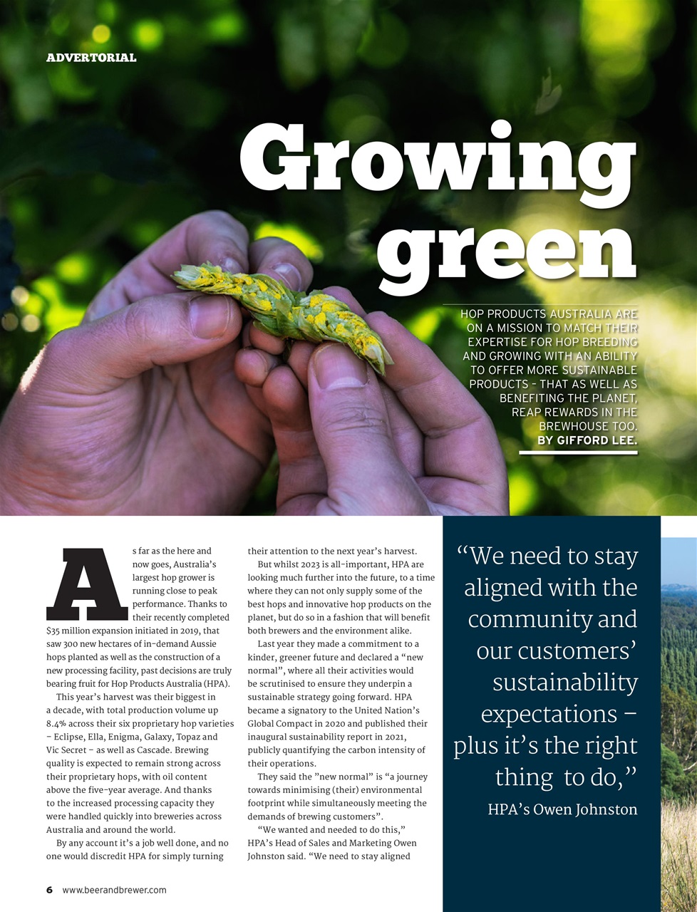 Beer and Brewer Preview Pages