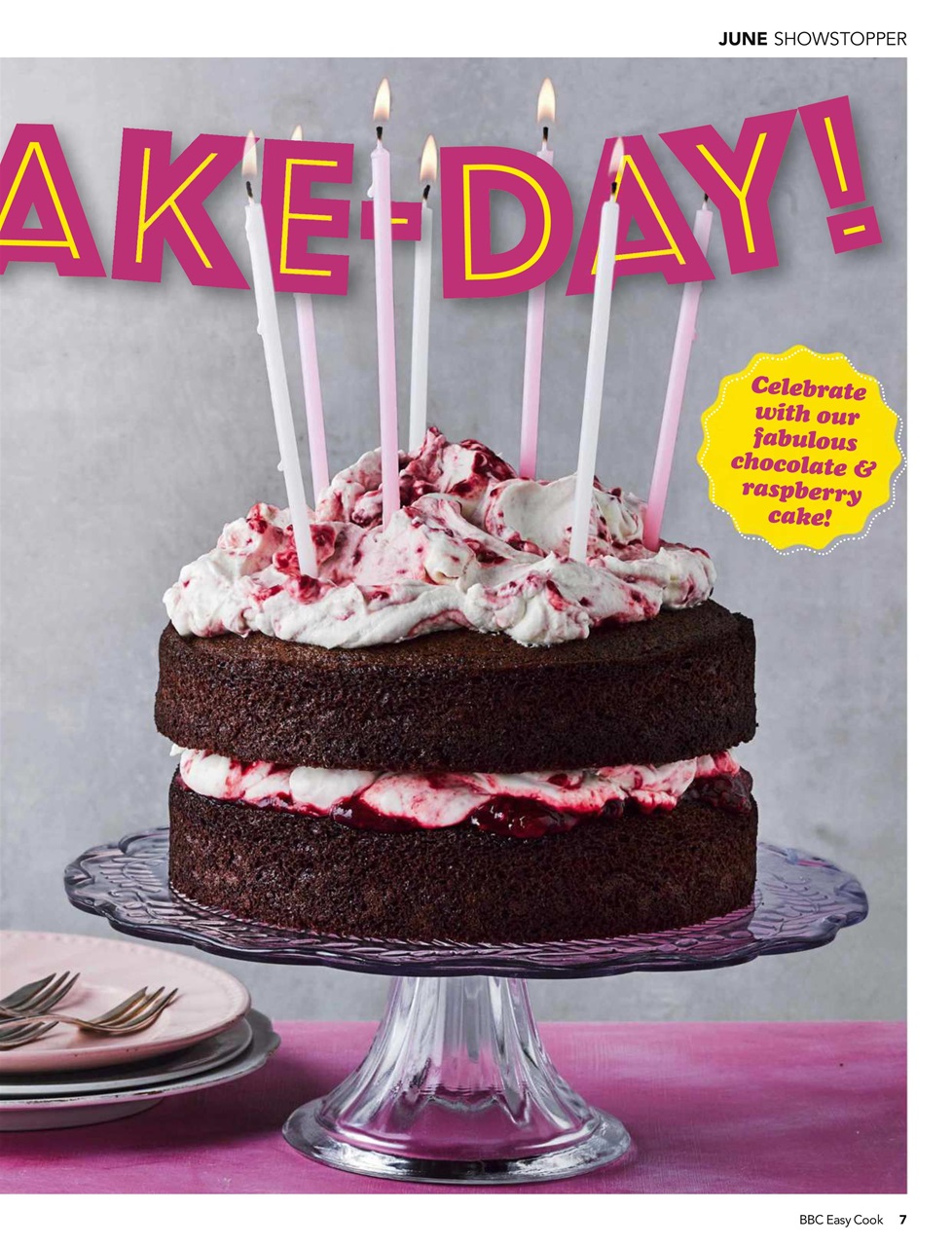 Easy Cook Magazine Preview Pages