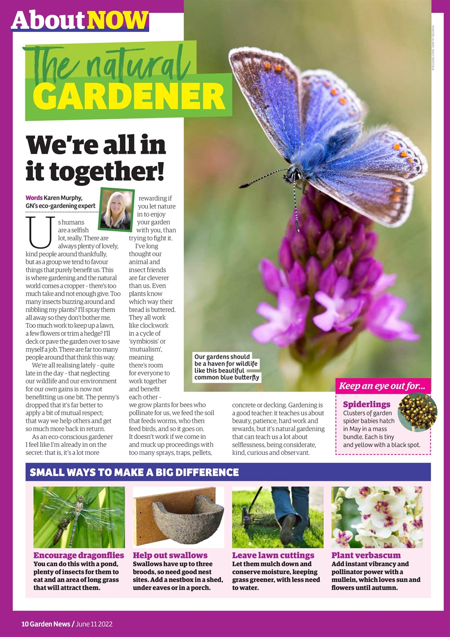 Garden News Preview Pages