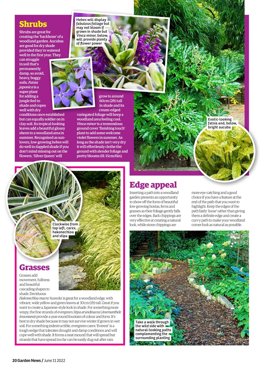 Garden News Preview Pages