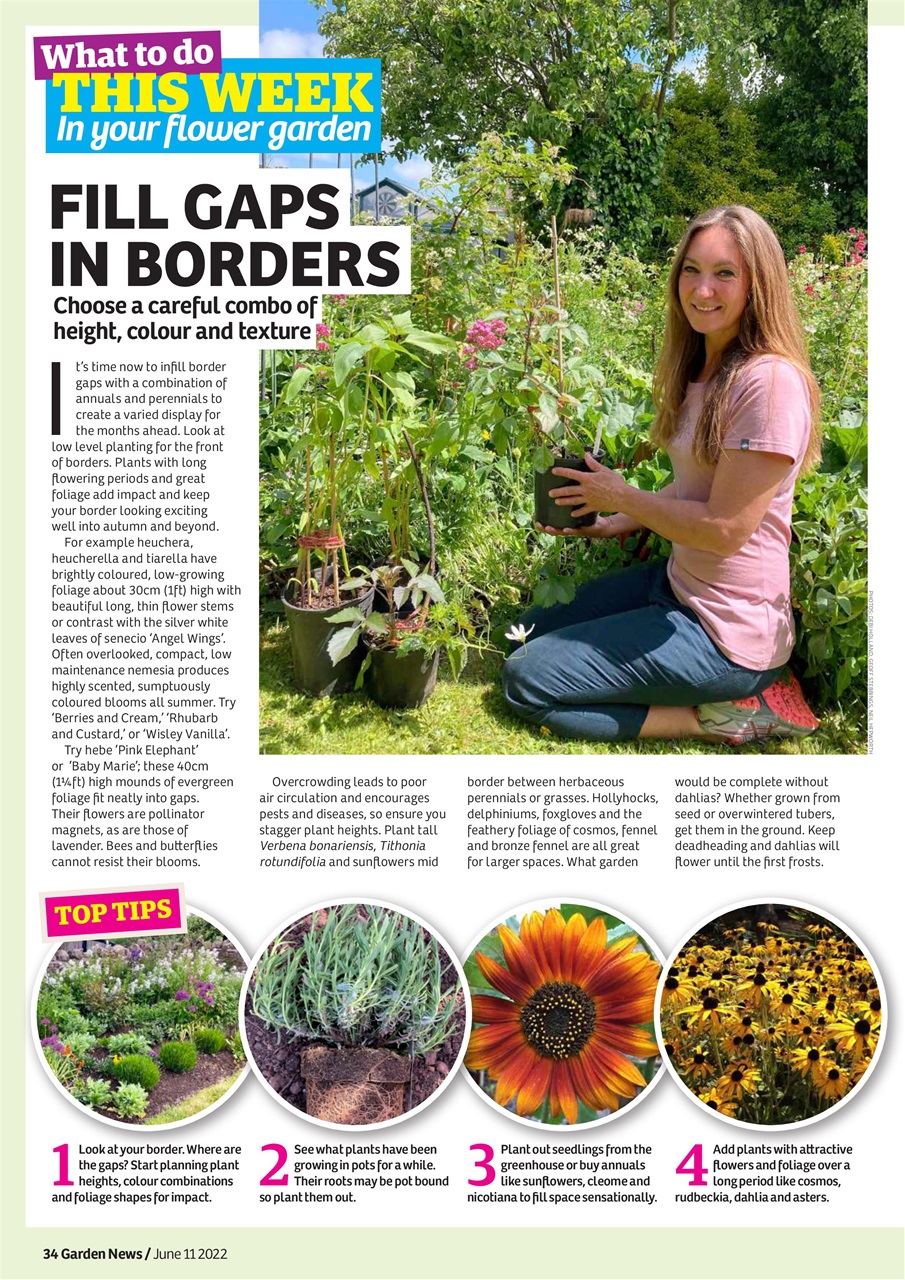 Garden News Preview Pages