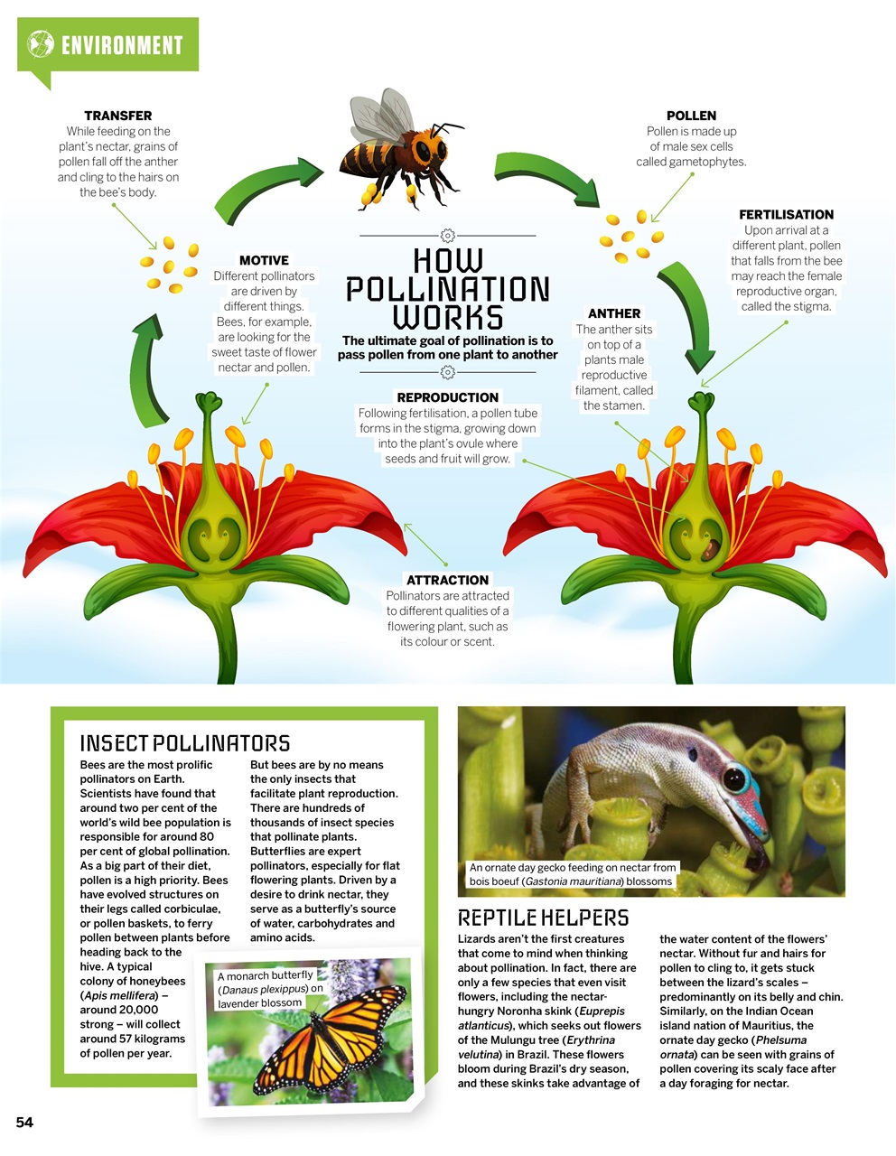 How It Works Preview Pages