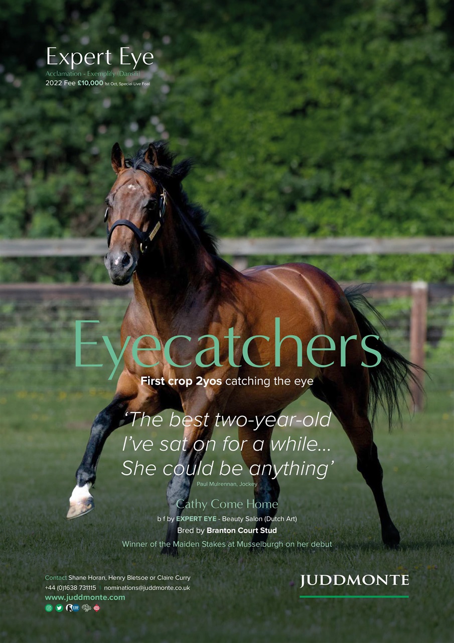 The Owner Breeder Preview Pages