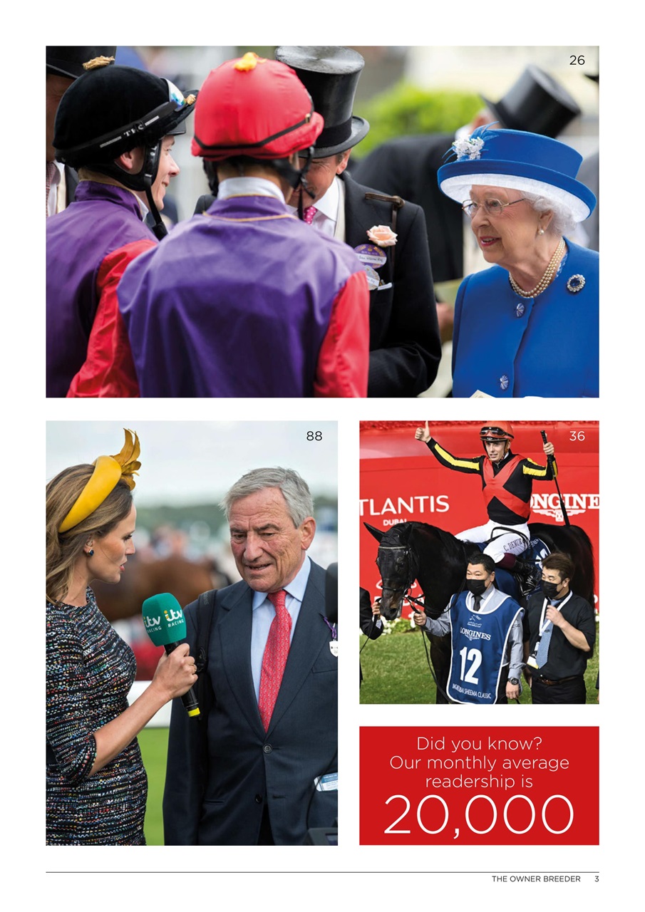 The Owner Breeder Preview Pages