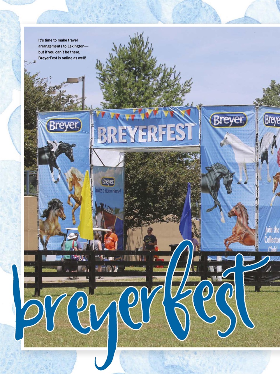 Young Rider Magazine Preview Pages