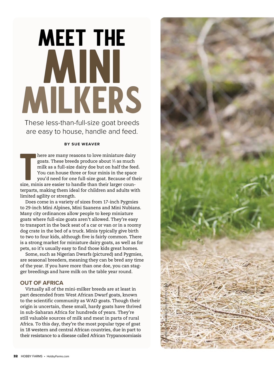 Hobby Farms Magazine Preview Pages